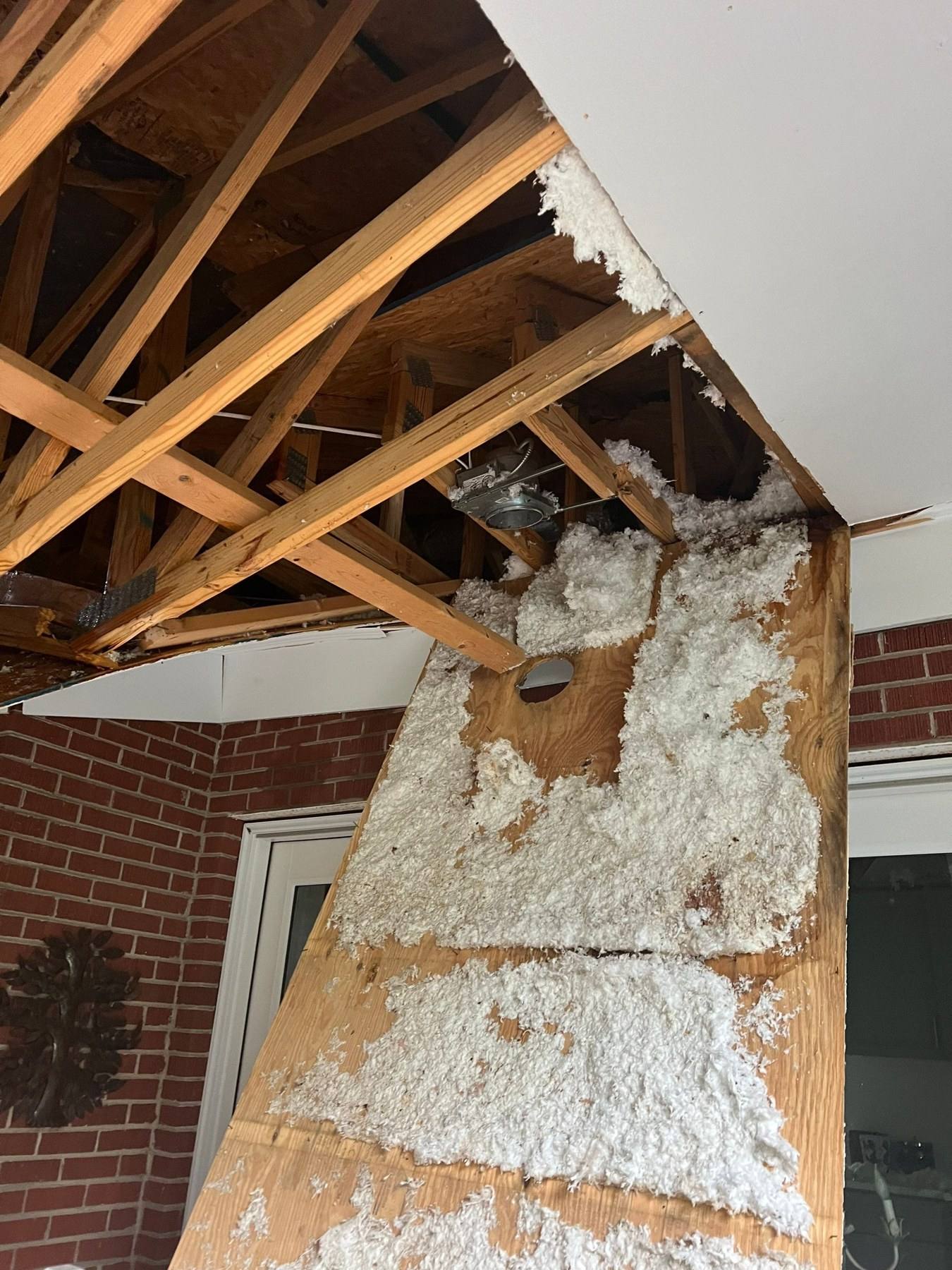 Tree impact damage through the roof and brick wall of a Shandon home in Columbia, SC