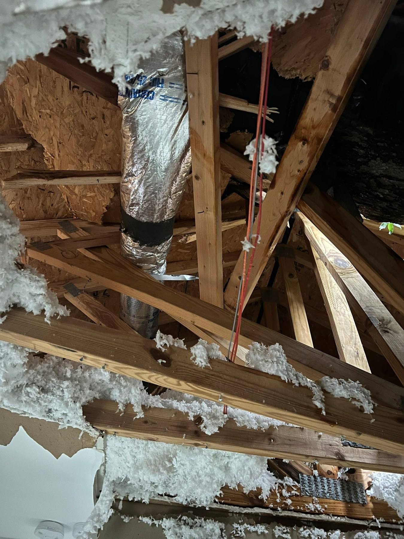 Interior framing and ceiling torn open by tree impact in Shandon, Columbia
