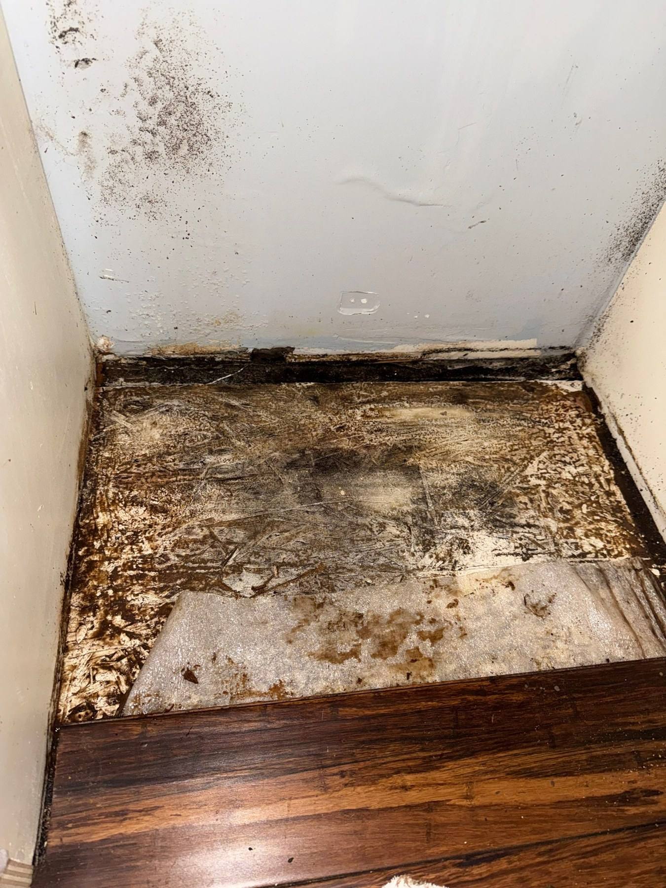 Hardwood removed to expose wet subfloor after a water loss in Gilbert, SC